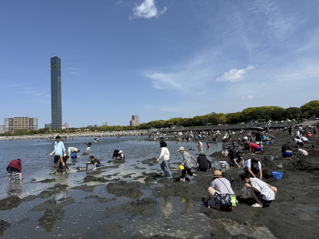潮干狩りの風景